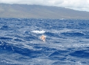 day_maui1