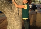 Alexandra treehugging, April 2016